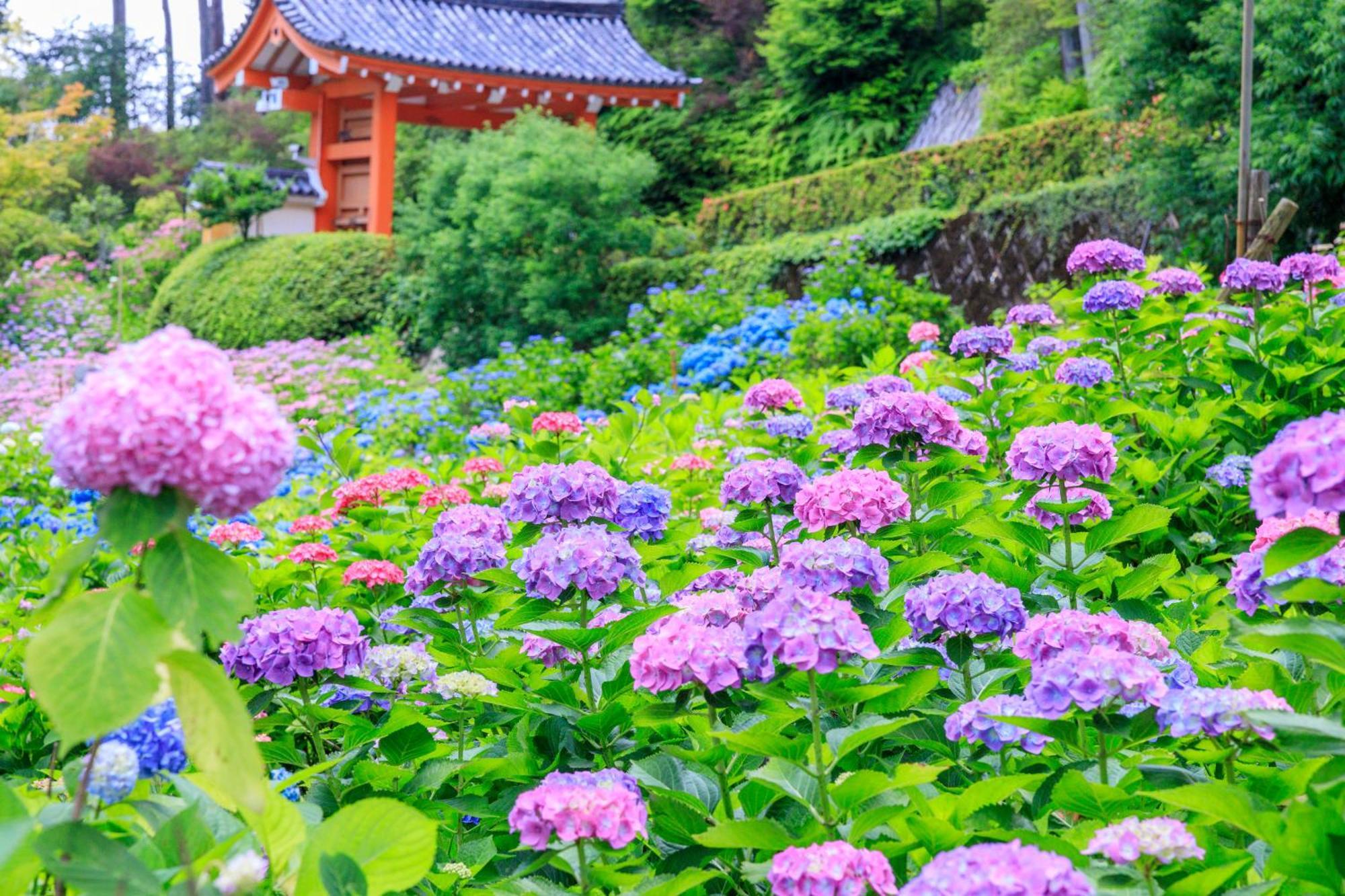 Mimaru Suites Kyoto Shijo Bagian luar foto